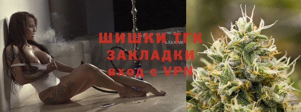 шишки Алексин