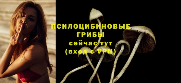 тгк Абинск