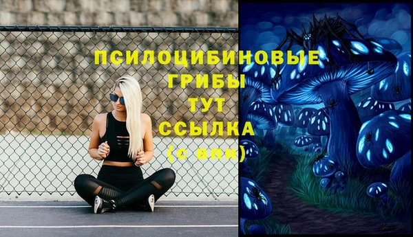 шишки Алексин